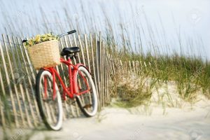 bike with flowers in basket leaning on fence on the beach