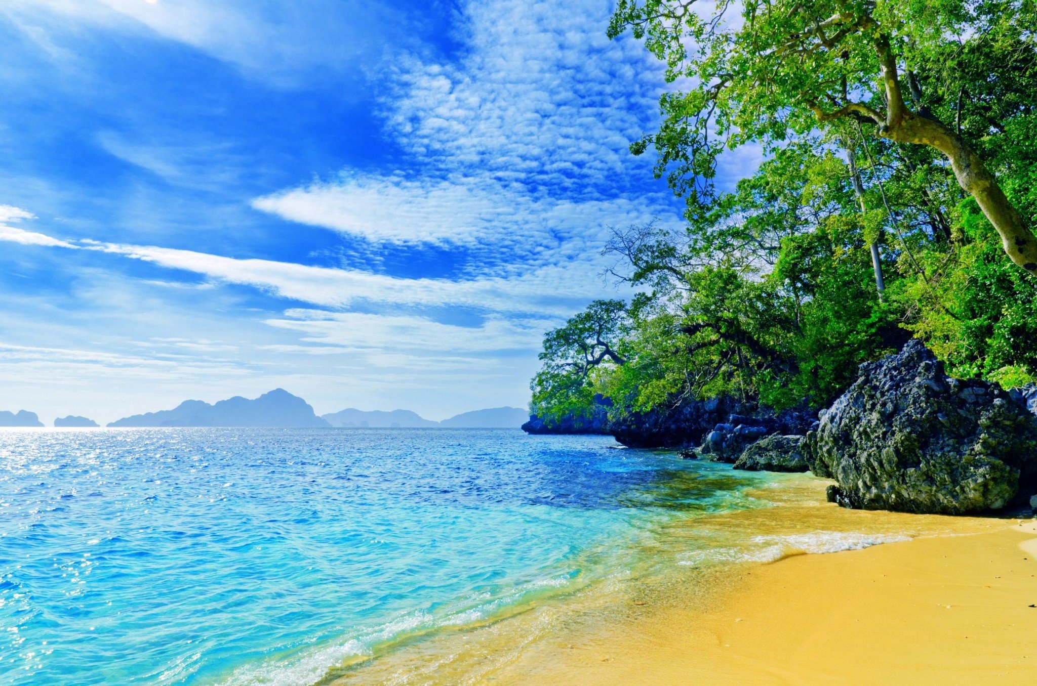 beach with sand and rocks and trees blue sky