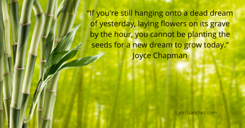 quote by Joyce Chapman about planting seeds in the now.