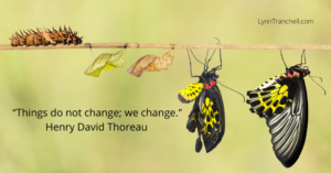 picture of butterfly transformation with Thoreau change quote